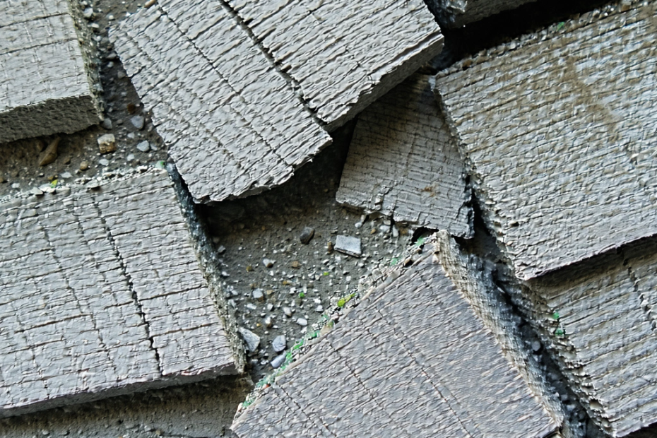 Transformação Incrível: Como o Lixo Doméstico Está Virando Tesouro Sustentável